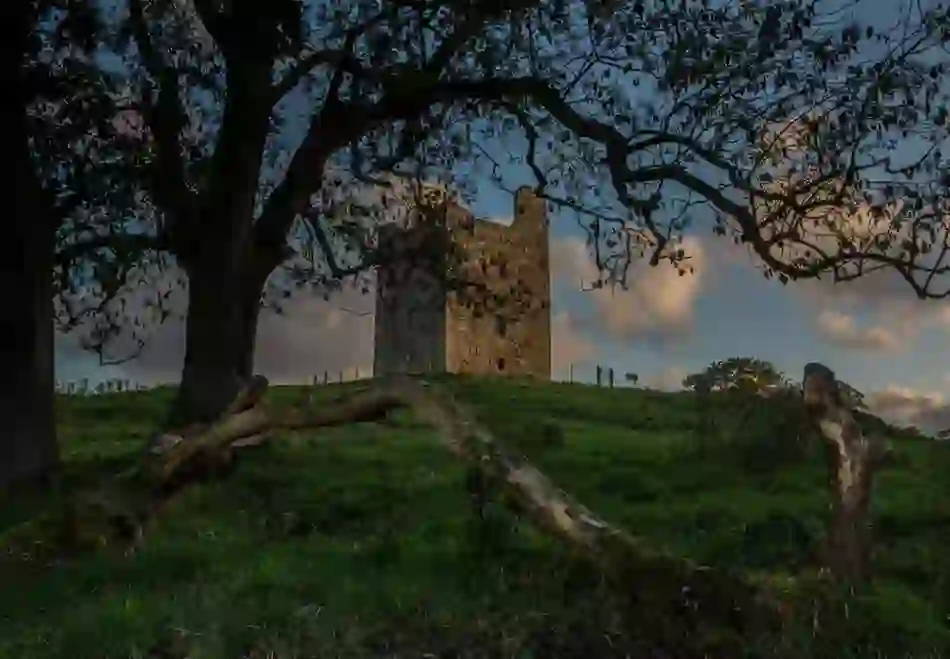 audleys-castle-leaves-in-foreground